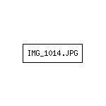 IMG_1014.JPG