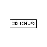 IMG_1034.JPG